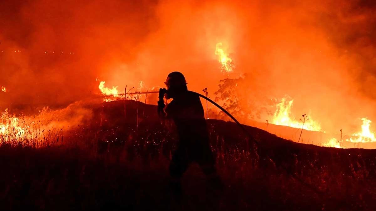 Greek Wildfire West of Athens Burns 11,000 Hectares and Destroys 100 Homes
