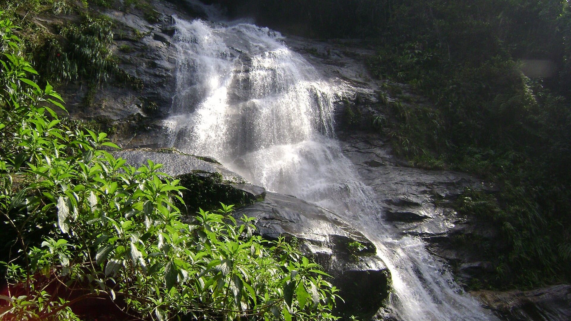 Helicopter Crash in Rio de Janeiro National Park Kills Four
