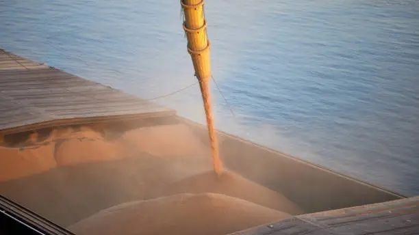 Ukraine Proposes Black Sea Truce for Civilian Ships as Global Food Prices Climb